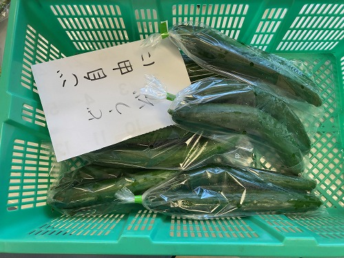 画像の説明